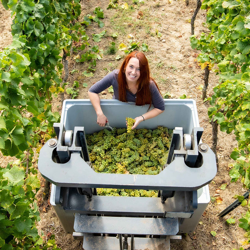 BERGKIRCHE Niersteiner Riesling Kabinett (Julia Schittler) Foodoholic