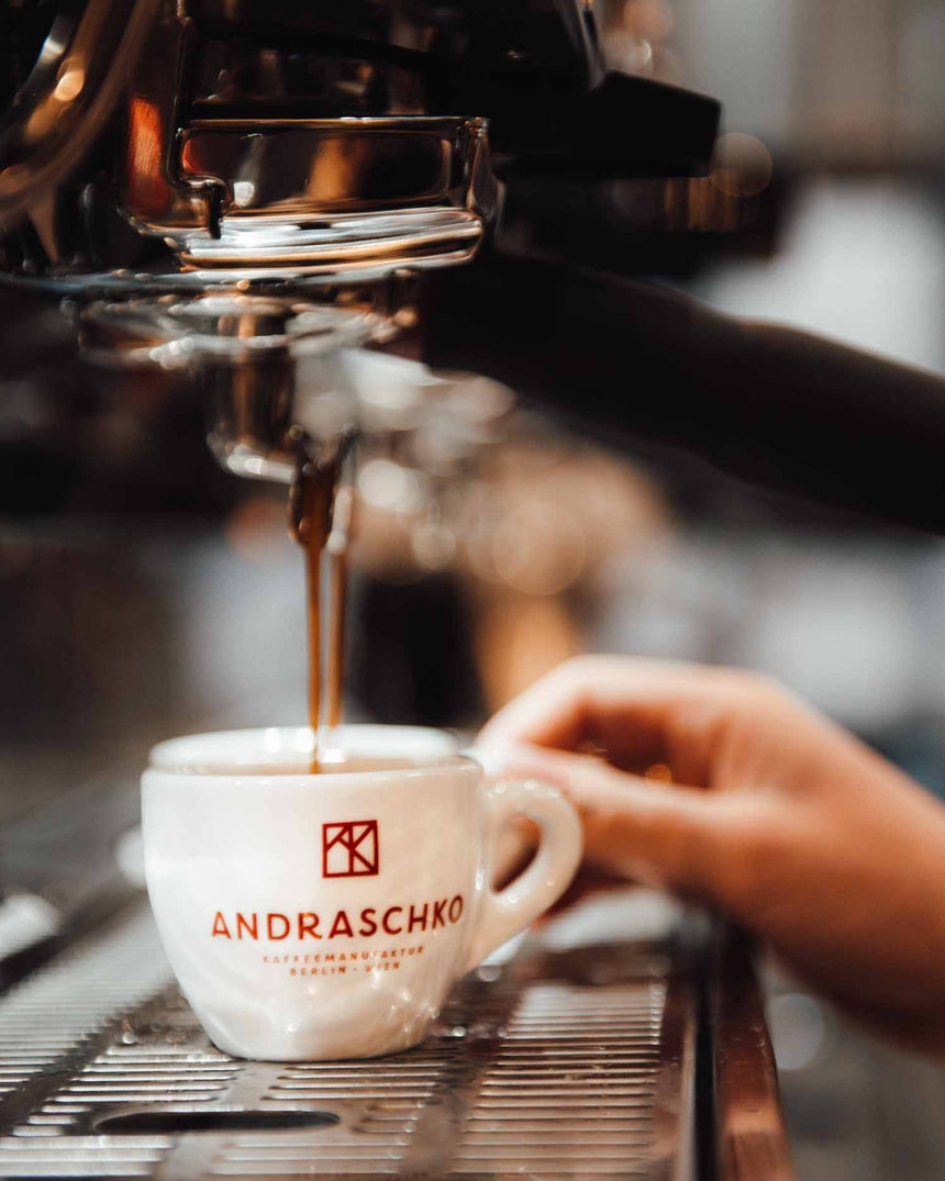 Andraschko "Panamericana BIO Filter Blend" Foodoholic